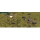 Panzer Corps Collection Steam CD Key