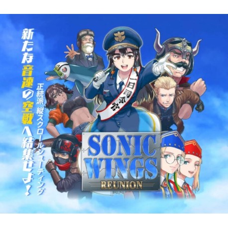 Sonic Wings Reunion EU Nintendo Switch CD Key