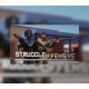 Struggle Offensive Steam CD Key