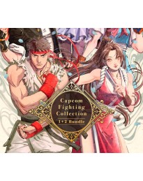 Capcom Fighting Collection 1 + 2 EU PC Steam CD Key