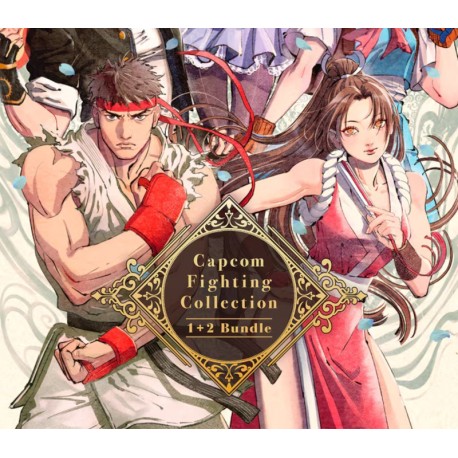 Capcom Fighting Collection 1 + 2 EU PC Steam CD Key