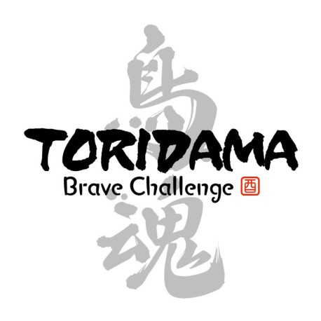 TORIDAMA: Brave Challenge Steam CD Key