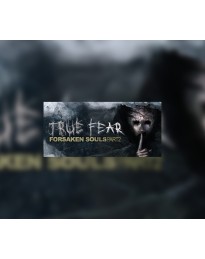 True Fear: Forsaken Souls Part 2 PC GOG CD Key (valid until January 21, 2026)