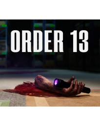 ORDER 13 EU PC Steam CD Key