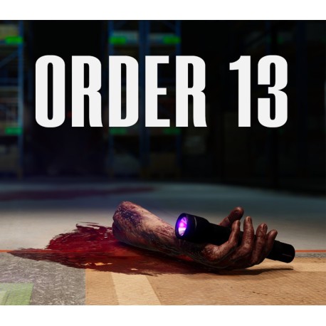 ORDER 13 EU PC Steam CD Key