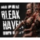 Bleak Haven PC Steam CD Key