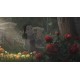 Bye Sweet Carole Xbox Series X|S Account