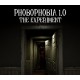 Phobophobia 1.0 - The Experiment PC Steam CD Key