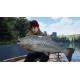 The Catch: Carp & Coarse Fishing Collector's Edition EU XBOX One / Xbox Series X|S CD Key