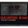 Haunted ROM: The Lost Cartridge PC Steam CD Key