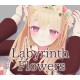 Labyrinth Flowers PC Steam CD Key