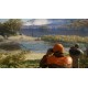 theHunter: Call of the Wild - Game Feeder Pack DLC PC Steam CD Key
