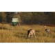theHunter: Call of the Wild - Game Feeder Pack DLC PC Steam CD Key