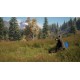 theHunter: Call of the Wild - Game Feeder Pack DLC PC Steam CD Key