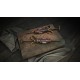 Hunt: Showdown 1896 - From the Wilds DLC Steam CD Key