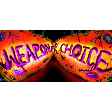 Weapon of Choice PC Steam CD Key