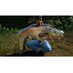 Fishing Sim World: Pro Tour - Jezioro Bestii DLC Steam CD Key