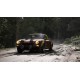 Assetto Corsa Rally PC Steam Account