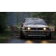 Assetto Corsa Rally PC Steam CD Key