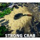 Strong Crab PC Steam CD Key