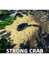Strong Crab PC Steam CD Key