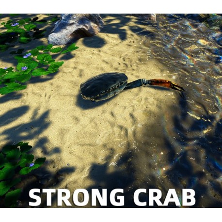 Strong Crab PC Steam CD Key
