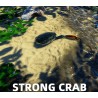 Strong Crab PC Steam CD Key