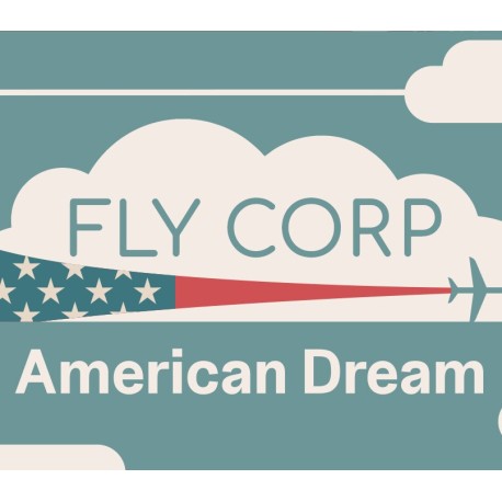 Fly Corp - American Dream DLC PC Steam CD Key