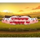 Happy Piggy 2 PC Steam CD Key