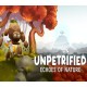 Unpetrified: Echoes of Nature PC Steam CD Key