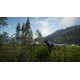 theHunter: Call of the Wild - Hunting Starter Pack Bundle XBOX One / Xbox Series X|S Account