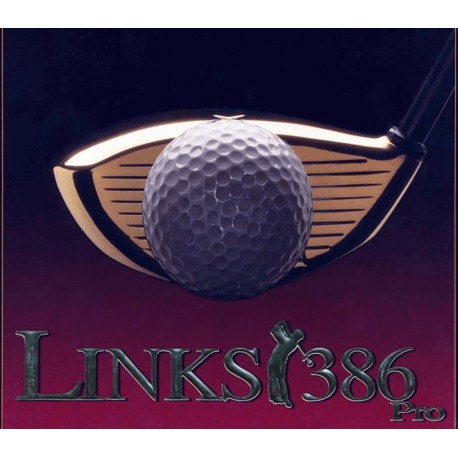 Links 386 Pro PC GOG CD Key