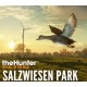 theHunter: Call of the Wild - Salzwiesen Park DLC PC Steam CD Key