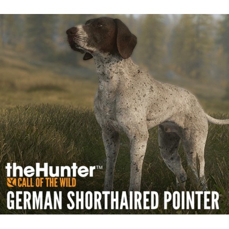theHunter: Call of the Wild - German Shorthaired Pointer DLC PC Steam CD Key