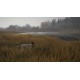theHunter: Call of the Wild - German Shorthaired Pointer DLC PC Steam CD Key
