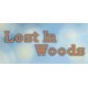 Lost in Woods 2 Steam CD Key