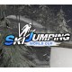 Ski Jumping World Cup PC Steam CD Key