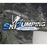 Ski Jumping World Cup PC Steam CD Key