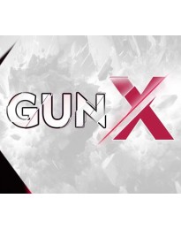 GunX: Lock and Load PC Steam CD Key