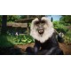 Planet Zoo: Asia Animal Pack DLC PC Steam CD Key