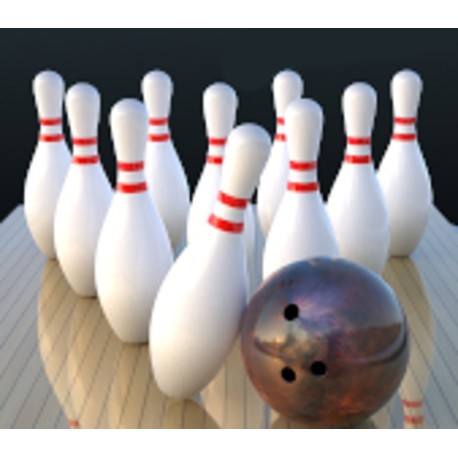 Premium Bowling Meta Quest Gift