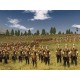 Rome: Total War Collection (2021) PC GOG CD Key