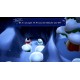 Snowman Mo PC Steam CD Key