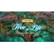Twistingo: Tree of Life Collector’s Edition PC Steam CD Key