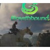 Breathbound PC Steam CD Key