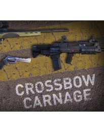 Sniper Ghost Warrior Contracts 2 - Crossbow Carnage Weapons Pack DLC EU PC Steam CD Key