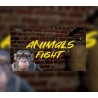 Animals Fight Steam CD Key