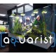 Aquarist EU PC Steam CD Key