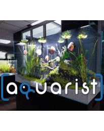 Aquarist EU PC Steam CD Key
