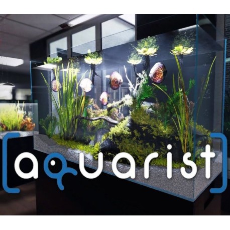 Aquarist EU PC Steam CD Key